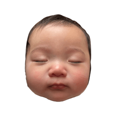 Forest_20260426120448