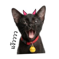 My children ** MAMIEW