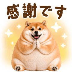 teinei keigo pocha shiba