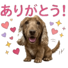 Furea  Daily Chat Stickers