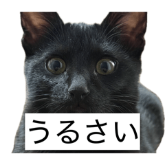 Basya_20260426015247