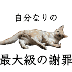 Itsuki_20260426020239