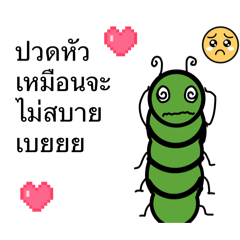 PANPAN_20260425205230