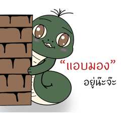 Cow not cow_20260425230145