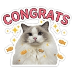 Four cats together no2