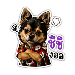 Jidaib_20260426004145