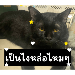 Guzjang narak_20260426004708