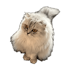 fuwa, dash, piglet, bacon, duck, & windy