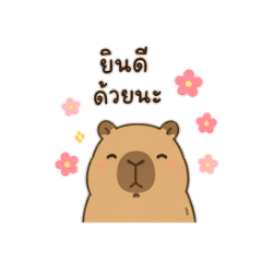 Jibsandwich_20260426052736