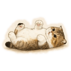 meawtung_20260426032429