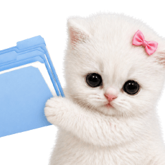 Beware of a vicious cat Work ( No Text )