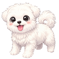 可愛的馬爾濟斯很開心