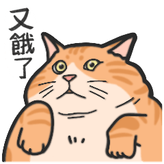 ChenG-給你滿滿的胖胖貓