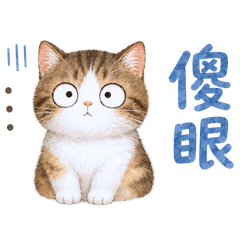 療癒水彩貓貓 ❤️萬用日常問候與祝福