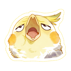 玄鳳鸚鵡：小黃雞的搞怪逗趣表情！