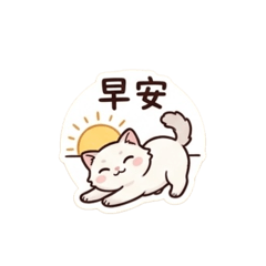 貓咪妳好打招呼