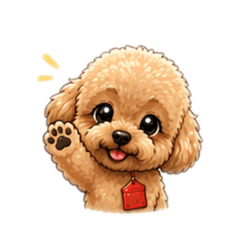 萌犬日常-紅貴賓