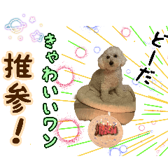 shige_20260426170237