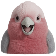 Faces of Parakeets and Parrots