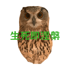 KT/om_20260420202702