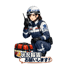 Emergency Medical Services Duty Stickers