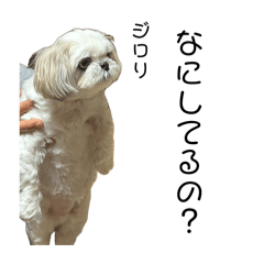 medama__chan._20260426041837