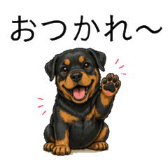 Rottweiler-dog
