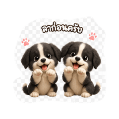 Aun Aun Sticker_20260425195422