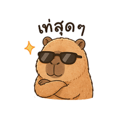 Jibsandwich_20260426054217