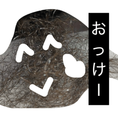 TOWA_20260420223326