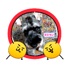 iitian_20260420224821