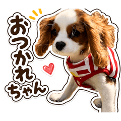 Torakichi of the Rising Red Sun_2026