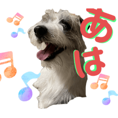 YOCCO_20260426073544