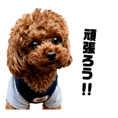 TSUBASA_20260426072847