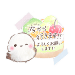 purinn_20260426075134