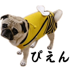 makochi_20260420225731