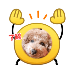Otani_20260426095641