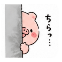 Ayama_20260426095549