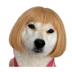 BBmonaka_20260426100559