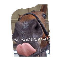 TAKAFUMI AOKI_20260426094802