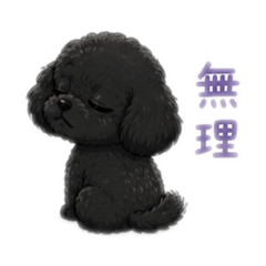 popon_20260426100328