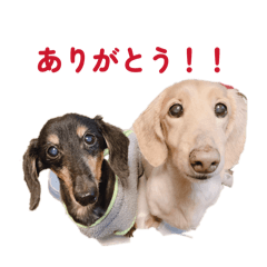 Murakami_20260426095804