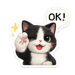 賓士貓的軟萌日常