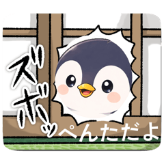 penta_20260420162634