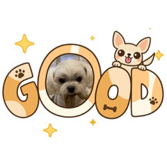 stamp_20260426082745
