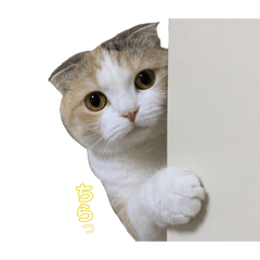 hihihi_20260420231622