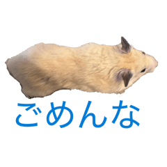 タウ坊♂