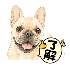 asagin_20260426105624