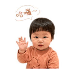 胖豬蓮可愛貼圖