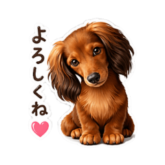 megumegu_20260426105558